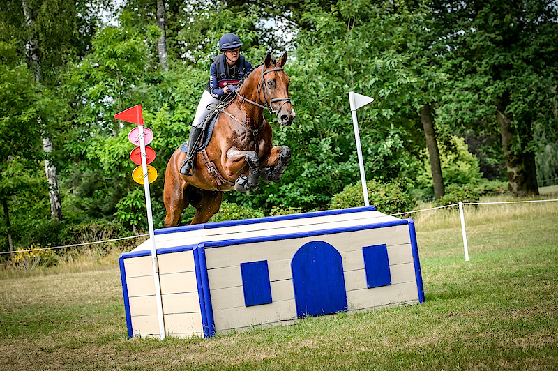 actiefoto hero (paarden) 1